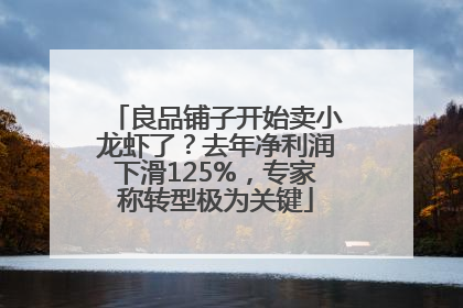 良品铺子开始卖小龙虾了？去年净利润下滑125%，专家称转型极为关键