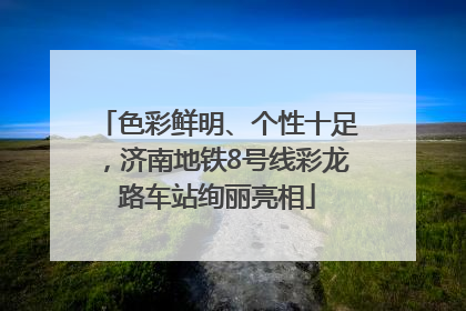 色彩鲜明、个性十足，济南地铁8号线彩龙路车站绚丽亮相