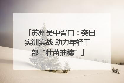 苏州吴中胥口：突出实训实战 助力年轻干部“壮苗抽穗”