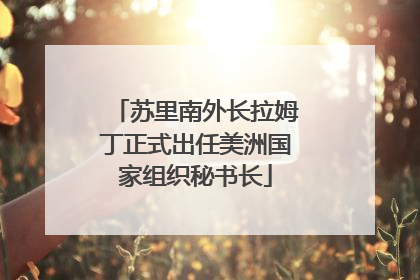 苏里南外长拉姆丁正式出任美洲国家组织秘书长