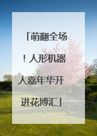 萌翻全场！人形机器人嘉年华开进花博汇