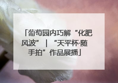 葡萄园内巧解“化肥风波”｜“天平杯·随手拍”作品展播