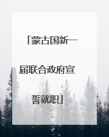 蒙古国新一届联合政府宣誓就职