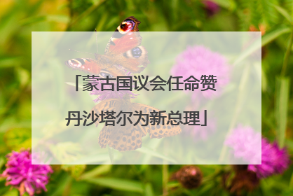 蒙古国议会任命赞丹沙塔尔为新总理