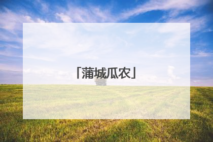 蒲城瓜农