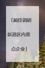 蔺佳调研新港区内重点企业