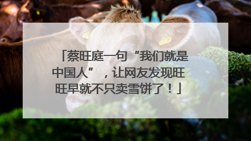 蔡旺庭一句“我们就是中国人”，让网友发现旺旺早就不只卖雪饼了！