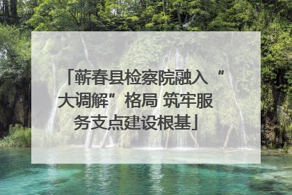 蕲春县检察院融入“大调解”格局 筑牢服务支点建设根基