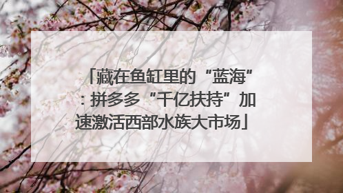 藏在鱼缸里的“蓝海”：拼多多“千亿扶持”加速激活西部水族大市场
