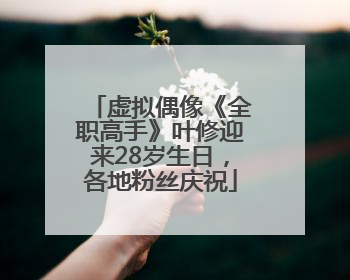 虚拟偶像《全职高手》叶修迎来28岁生日,各地粉丝庆祝