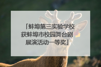 蚌埠第三实验学校获蚌埠市校园舞台剧展演活动一等奖
