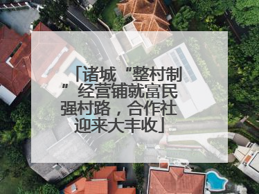 诸城“整村制”经营铺就富民强村路，合作社迎来大丰收