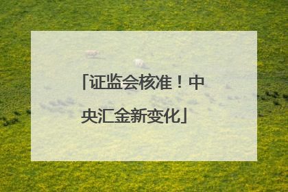 证监会核准！中央汇金新变化