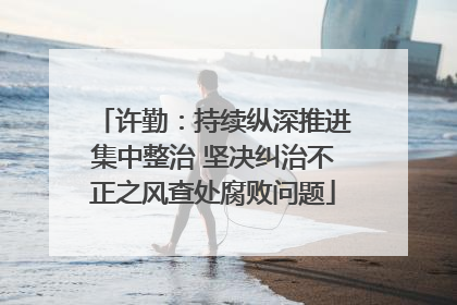许勤：持续纵深推进集中整治 坚决纠治不正之风查处腐败问题