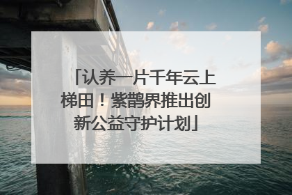 认养一片千年云上梯田！紫鹊界推出创新公益守护计划