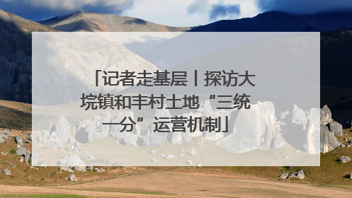 记者走基层丨探访大垸镇和丰村土地“三统一分”运营机制