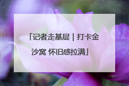 记者走基层｜打卡金沙窝 怀旧感拉满