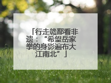 行走赣鄱看非遗：“希望岳家拳的身影遍布大江南北”