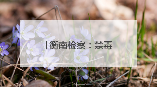 衡南检察：禁毒宣传进乡村，共筑防毒“安全网”
