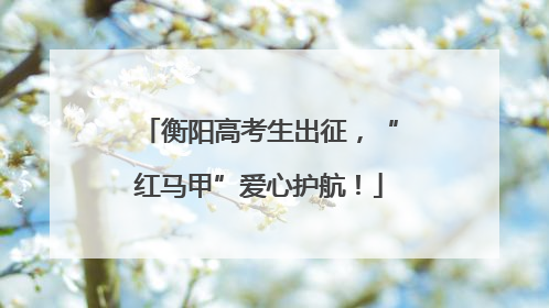 衡阳高考生出征，“红马甲”爱心护航！