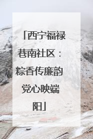 西宁福禄巷南社区：粽香传廉韵 党心映端阳