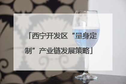 西宁开发区“量身定制”产业链发展策略