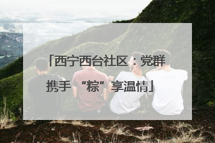 西宁西台社区：党群携手 “粽”享温情