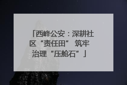 西峰公安：深耕社区“责任田” 筑牢治理“压舱石”