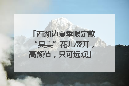西湖边夏季限定款“臭美”花儿盛开，高颜值，只可远观