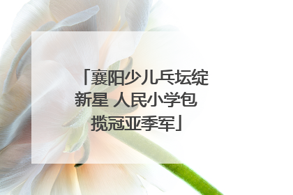 襄阳少儿乓坛绽新星 人民小学包揽冠亚季军