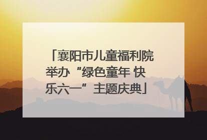 襄阳市儿童福利院举办“绿色童年 快乐六一”主题庆典