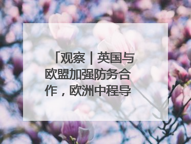 观察｜英国与欧盟加强防务合作，欧洲中程导弹竞赛或加剧