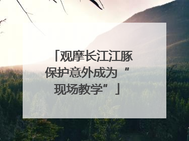 观摩长江江豚保护意外成为“现场教学”