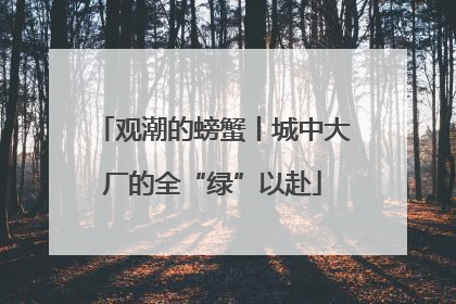 观潮的螃蟹丨城中大厂的全“绿”以赴