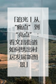 追光丨从“痛点”到“亮点”：看文昌街道如何绣出村居发展新图景