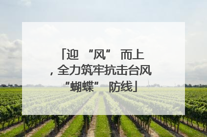 迎 “风” 而上，全力筑牢抗击台风 “蝴蝶” 防线