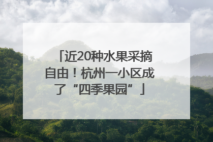 近20种水果采摘自由！杭州一小区成了“四季果园”