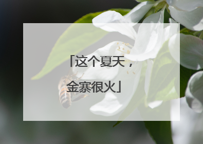 这个夏天，金寨很火