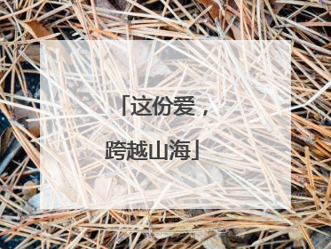 这份爱，跨越山海