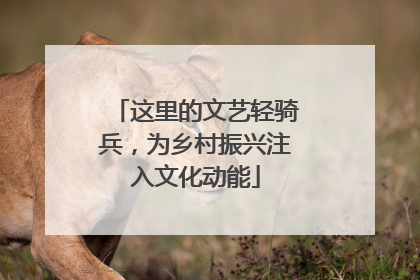 这里的文艺轻骑兵，为乡村振兴注入文化动能