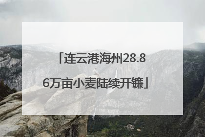 连云港海州28.86万亩小麦陆续开镰