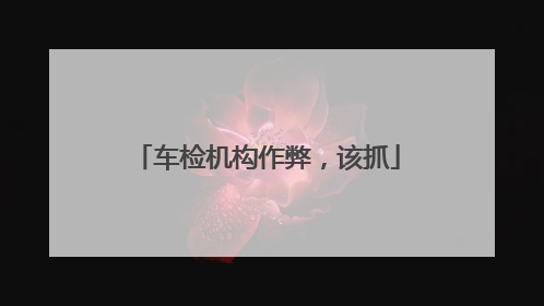 车检机构作弊，该抓