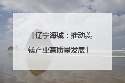 辽宁海城：推动菱镁产业高质量发展