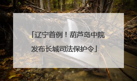 辽宁首例！葫芦岛中院发布长城司法保护令