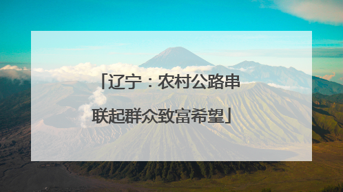 辽宁：农村公路串联起群众致富希望