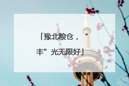 豫北粮仓，“丰”光无限好