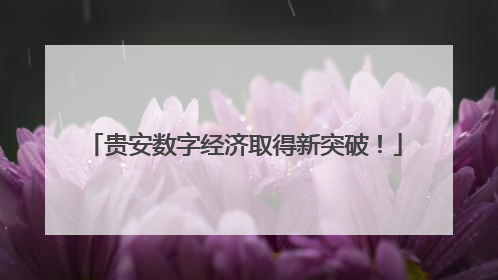 贵安数字经济取得新突破！