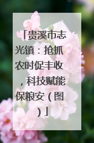 贵溪市志光镇：抢抓农时促丰收，科技赋能保粮安（图）