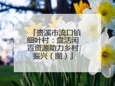 贵溪市流口镇细叶村：盘活闲置资源助力乡村振兴（图）