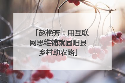 赵艳芳：用互联网思维铺就固阳县乡村助农路